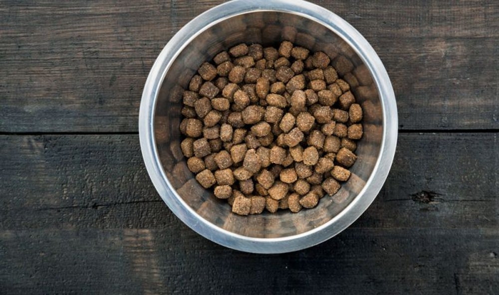 Why My Silly Moral Code Won't Let Me Blog About Dog Food - Puppy Leaks Fooddog