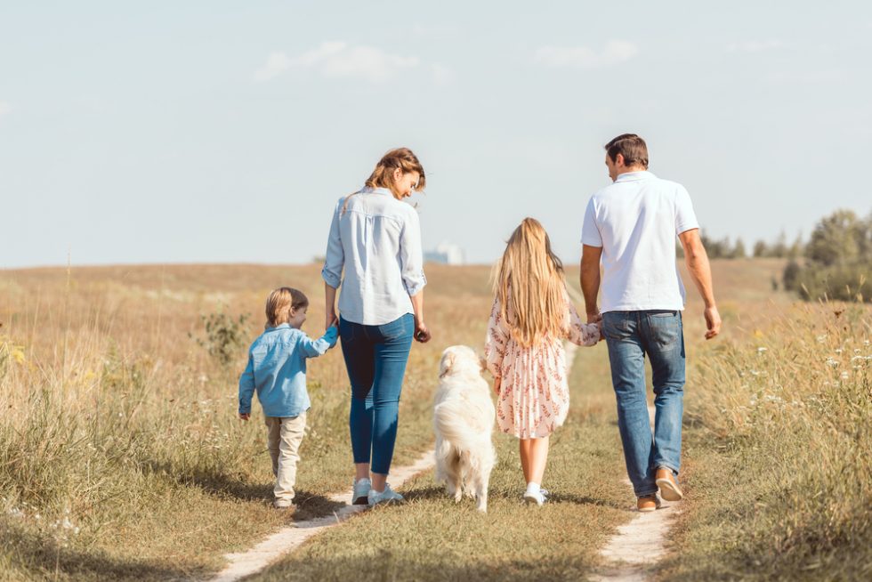 25 Best Family Dogs for Kids - Parade Pets 25 Best Family Dogs for Kids - Parade Pets