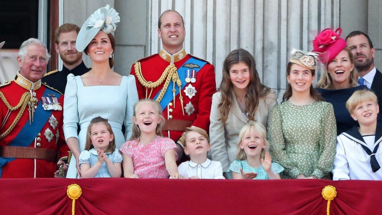 Long Live the Royal Family—in Houston, Texas Royal canin puppy golden retriever
