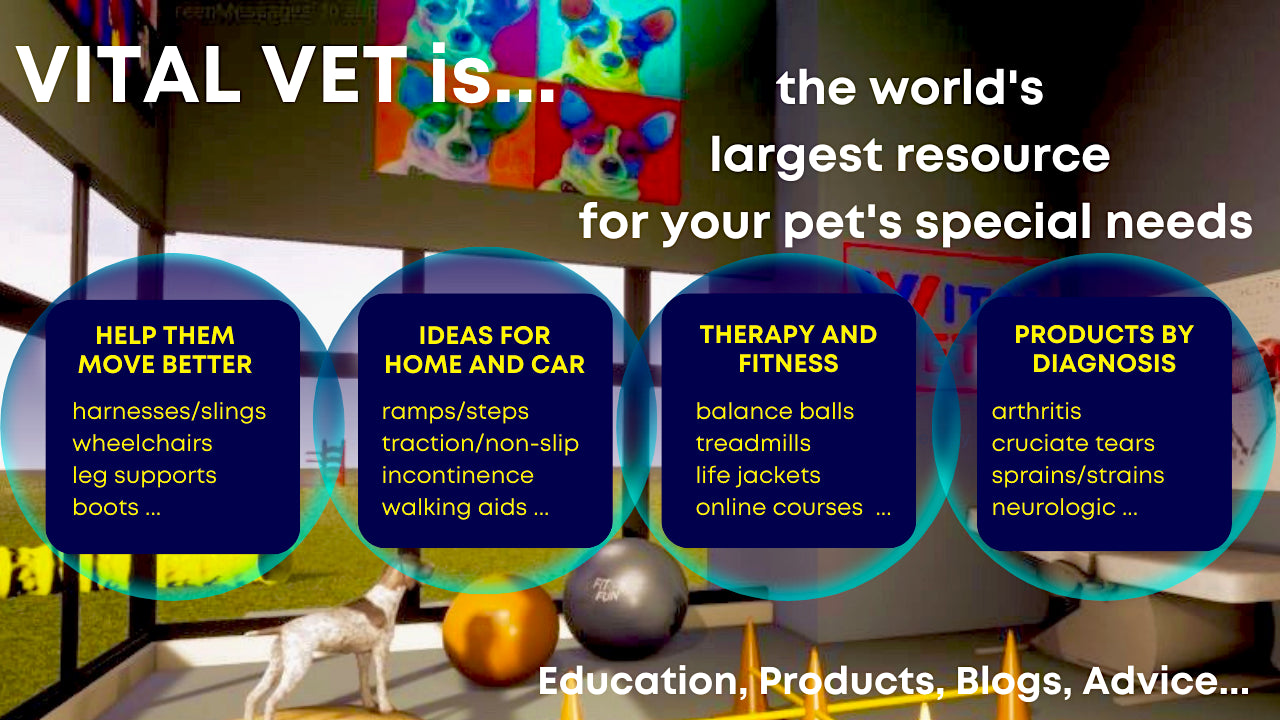 Vital pet