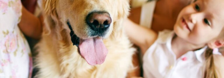 Vital pet